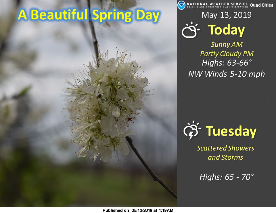 NWS: Summary
